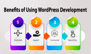 Benefits of Using WordPress Development:
